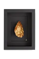 Nástěnná dekorace v rámu Maria el Mar Single Oyster 22 x 17 cm černá barva