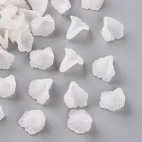 Transparent Acrylic Bead Caps