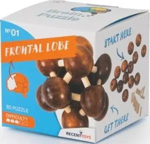 RECENTTOYS Brain Puzzle 1 - čelní lalok