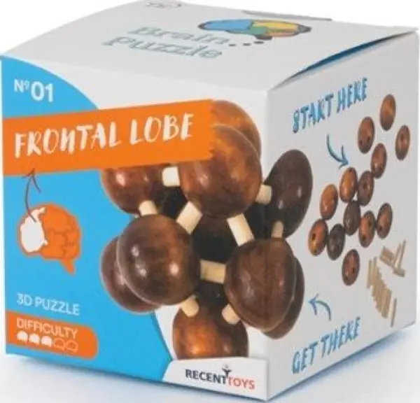 RECENTTOYS Brain Puzzle 1 - čelní lalok