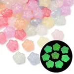 Luminous Transparent Acrylic Beads
