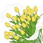 Relaxdays TULIPÁNY Žluté 24ks-set