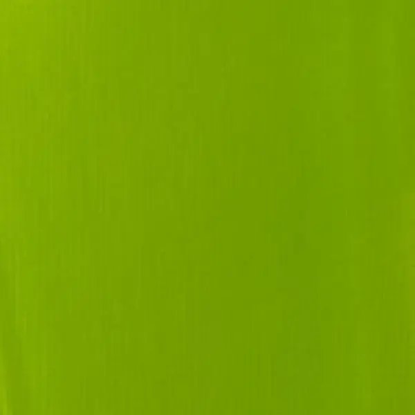 Akrylová barva Basics 118ml – 222 lime green