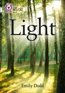 Light - Emily Dodd