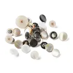 1-Hole Natural Shell Shank Buttons