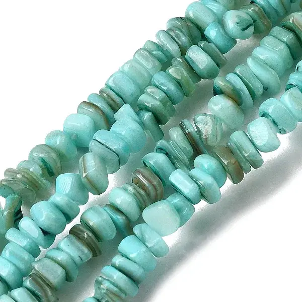 Natural Freshwater Shell Beads