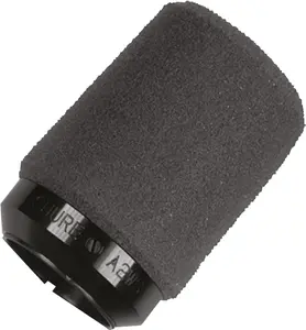 Shure A2WS