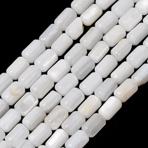 Natural Freshwater Shell Beads Strands