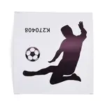 PVC Self-Adhesive Picture Stickers