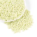 Baking Paint Glass Seed Beads