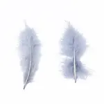 Fashion Feather Costume Accessories