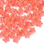 Transparent Acrylic Beads