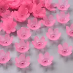Frosted Acrylic Bead Caps