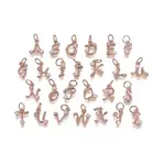 Brass Charms