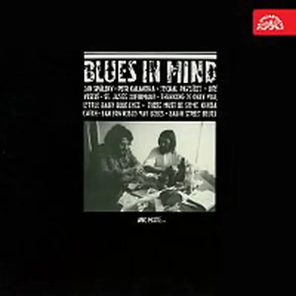 Jan Spálený, Petr Kalandra, Amatérské sdružení profesionálních muzikantů (ASPM) – Blues In Mind
