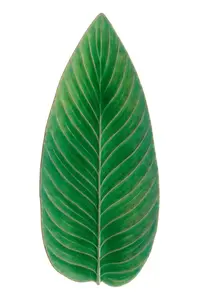 Costa Nova  Servírovací talíř  Riviera Strelizia 40 cm