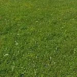 TEAL – Lost For Words