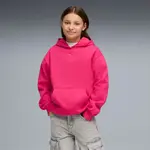 Puma ESS Cat Logo Relaxed Hoodie FL G 152