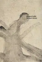 Pomalý běh - Norbert Holub