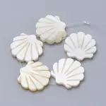 Natural Freshwater Shell Beads