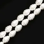 Shell Pearl Beads Strands
