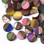 Resin & Wood Cabochons