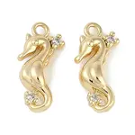 Brass Micro Pave Cubic Zirconia Charms