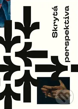 Skrytá perspektiva - kniha z kategorie Společenská beletrie