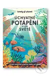 Úchvatné potápění po celém světě - kniha z kategorie Průvodci
