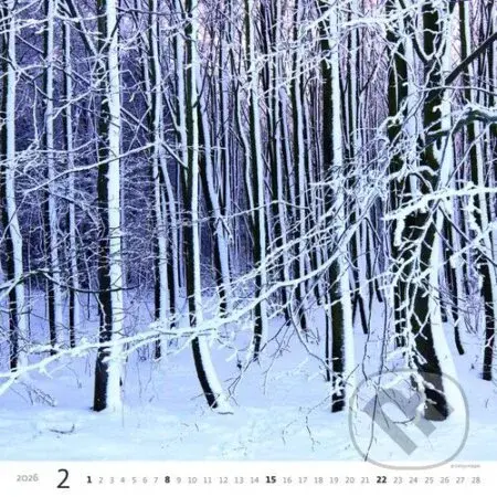 Les 2026 - nástěnný kalendář