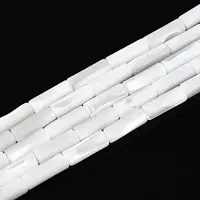 Natural Trochid Shell/Trochus Shell Beads Strands