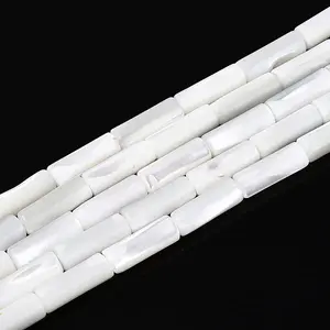 Natural Trochid Shell/Trochus Shell Beads Strands