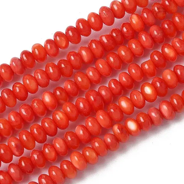 Natural Freshwater Shell Beads Strands