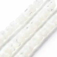 Natural Trochid Shell/Trochus Shell Bead Strands