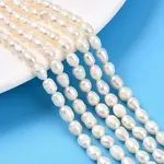 Natural Cultured Freshwater Pearl Beads Strands
