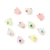 Transparent Acrylic Charms