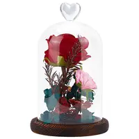 Glass Dome Cover