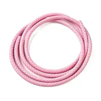 Braided Leather Cord with Core