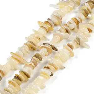 Natural Trochus Shell Beads Strands