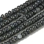 Dyed Natural Freshwater Shell Beads Strands