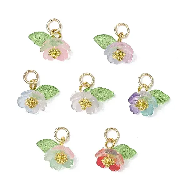 Transparent Resin & Acrylic Pendants