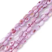 Natural Freshwater Shell Dyed Beads Strands
