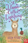 A Llama Called Lightning - Helen Peters - kniha z kategorie Pro děti