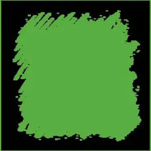 Pastel Conté á Paris – 008 Light Green