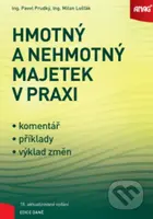 Hmotný a nehmotný majetek v praxi - Pavel Prudký, Milan Lošťák - kniha z kategorie Finanční management