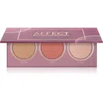 Affect Contour Palette 2 rozjasňovač, bronzer a tvářenka 3x5 g