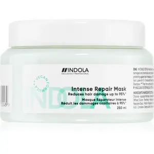 Indola Repair Intense Repair Mask posilující maska pro extrémně poškozené vlasy 250 ml