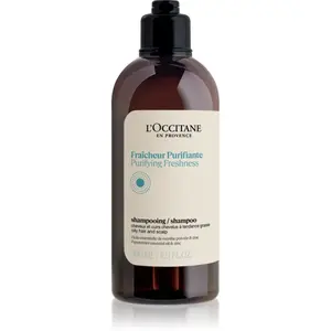 L’Occitane Purifying Freshness Shampoo čisticí šampon pro normální až mastné vlasy 300 ml