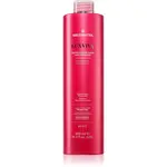 Medavita LUXVIVA Protective Pre Color Hair Treatment ochranné mléko na vlasy 500 ml