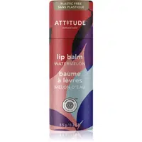 Attitude Leaves Bar Watermelon přírodní balzám na rty 8,5 g